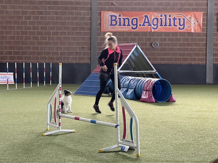 Bing.Agility Csarnok – Fitness