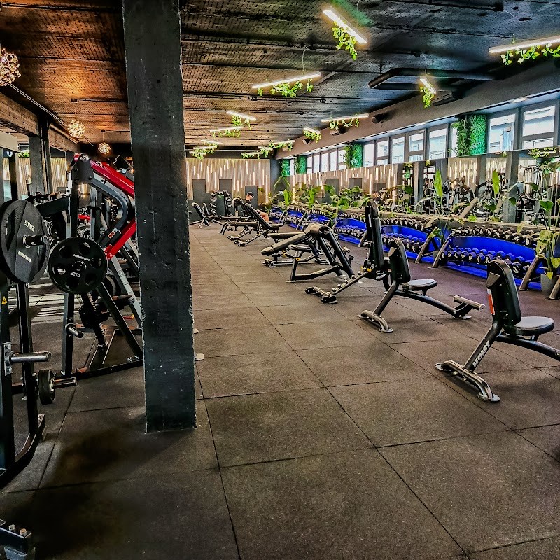 Chili Fitness – Fitness