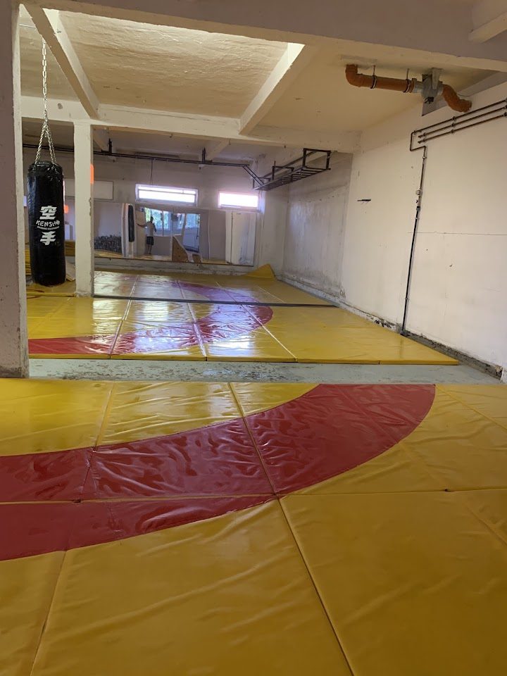Dühöngő edzőterem , MMA birkózás – Fitness