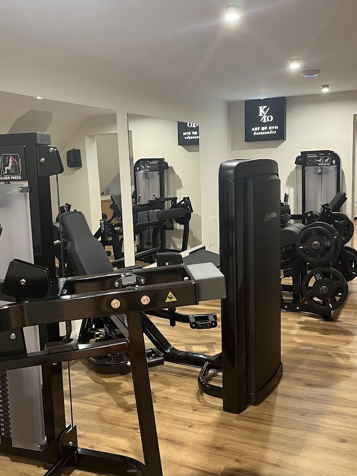 K10 Art of gym – Fitness
