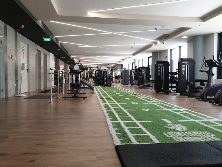 Lion Fitness – Fitness