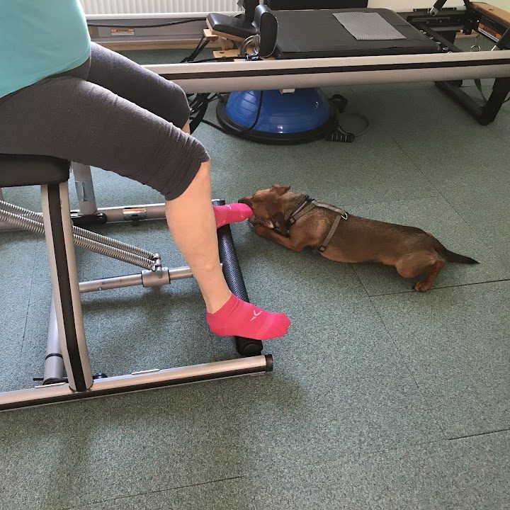 Pilates Mozgásstúdió Székesfehérvár – Pilates