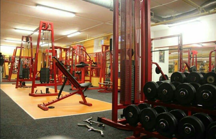 Profi-Fitness – Fitness