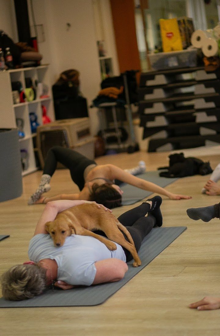 Spárta Fitness – Fitness