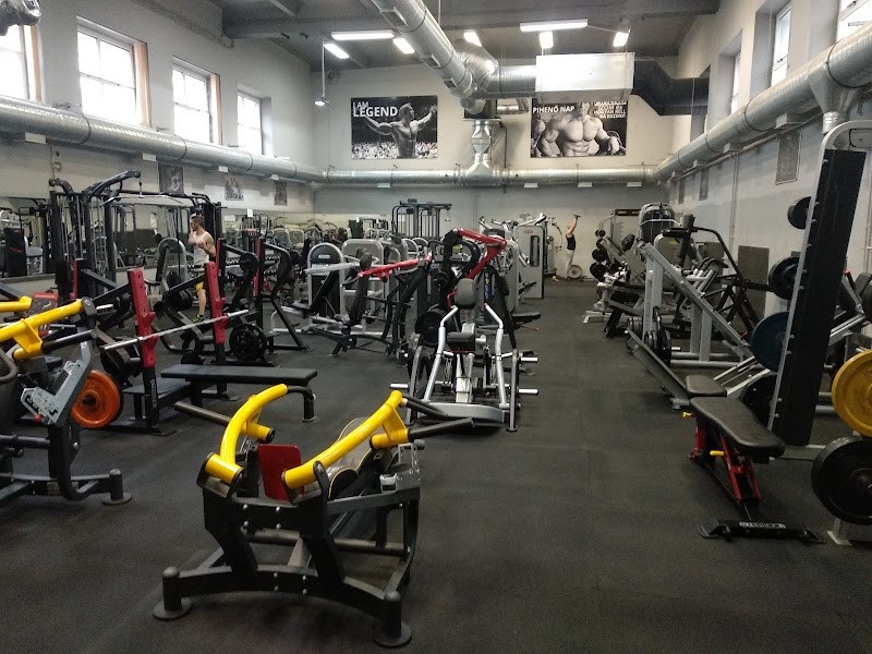 Szegi Fitness – Fitness