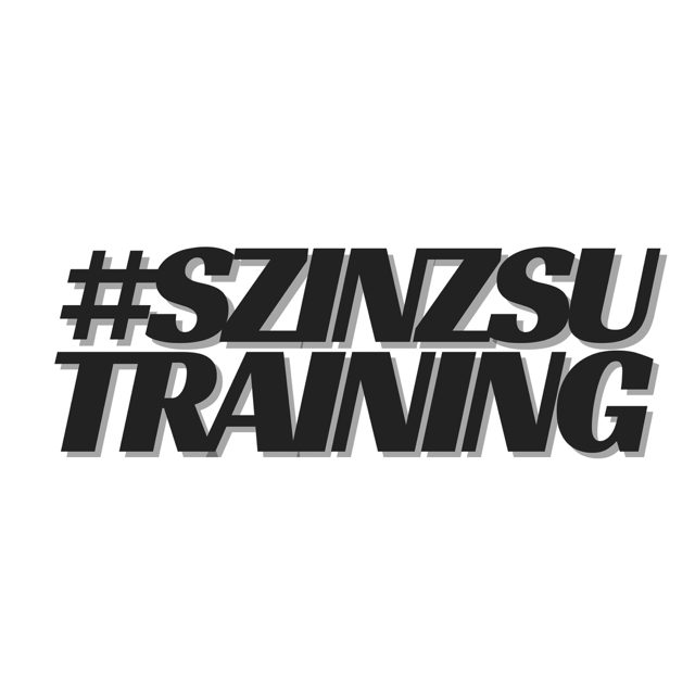 SZINZSU TRAINING – Fitness Székesfehérvár