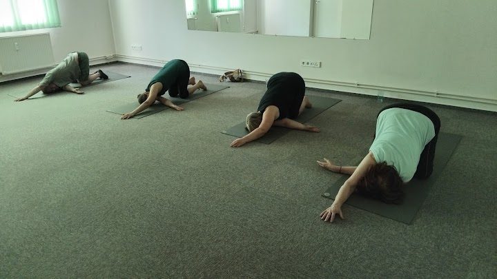 Viva Yoga – Jóga